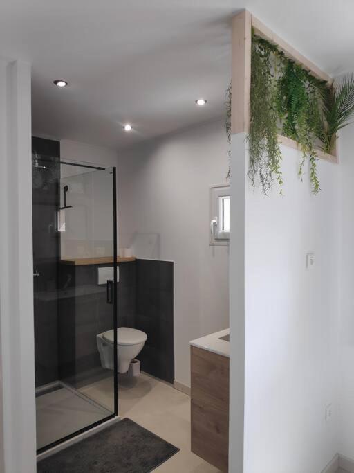 Hérépian Maison Independante Avec Terrasse & Parking Prive מראה חיצוני תמונה